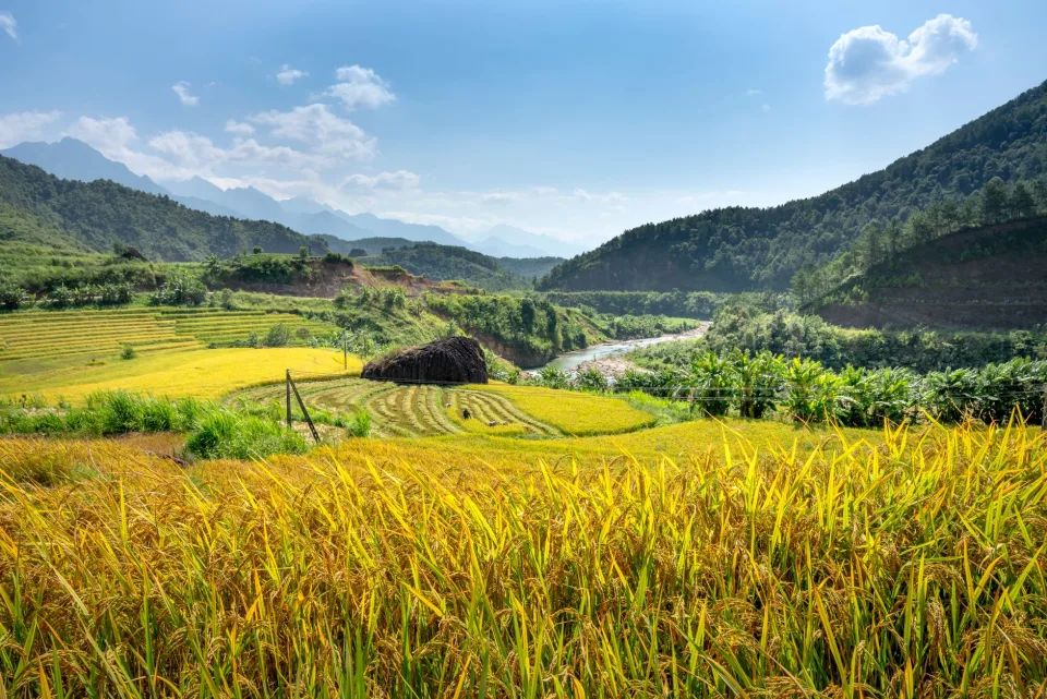 Kho gạo của Nguyễn Thị Ánh Minh